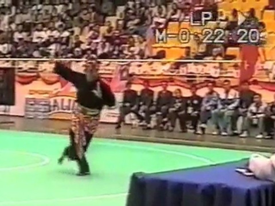 pencak Silat Indonesia Martial Arts 18