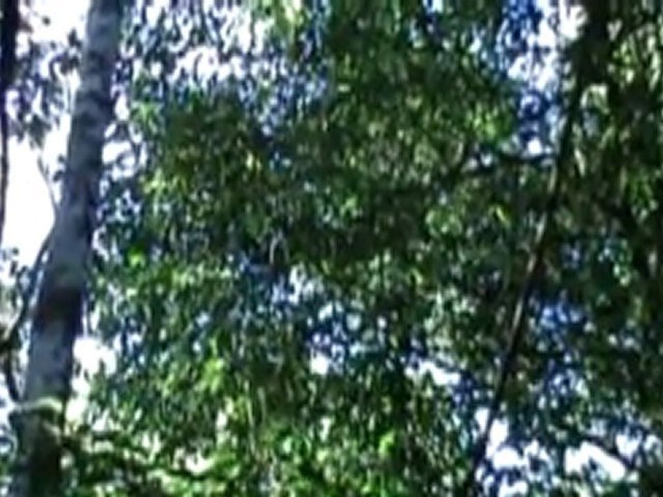 COSTA RICA  mars 2011 1ère partie