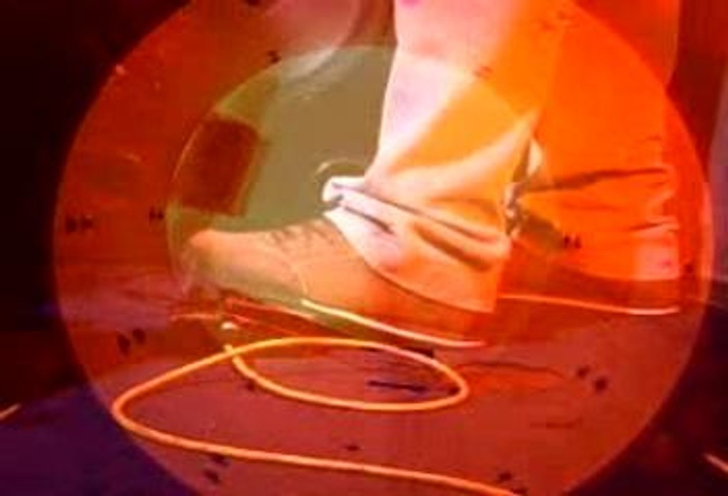 tragokorto - no regresara