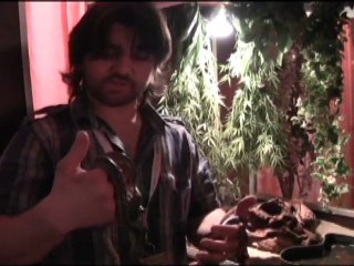 Naissance de bébés anacondas au Mans