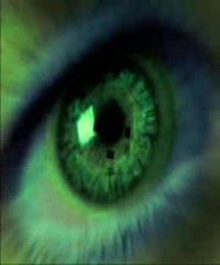 Survivor - Eyes Of The Tiger