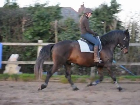 Quiator galop mars 2011