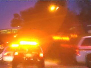 Death by Wall Street -- the Screenplay