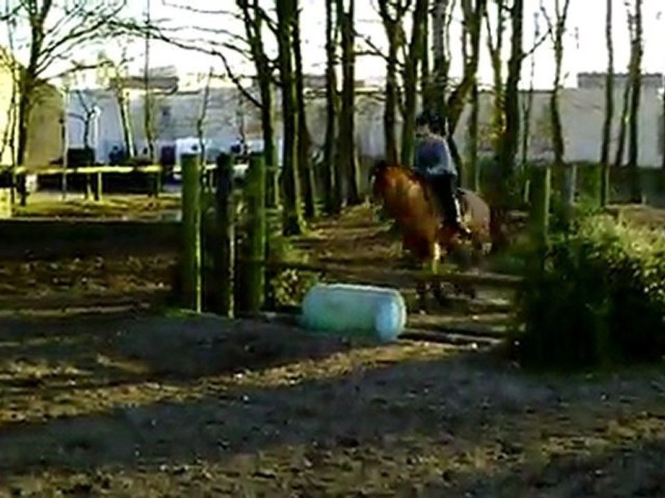 CLIP0026