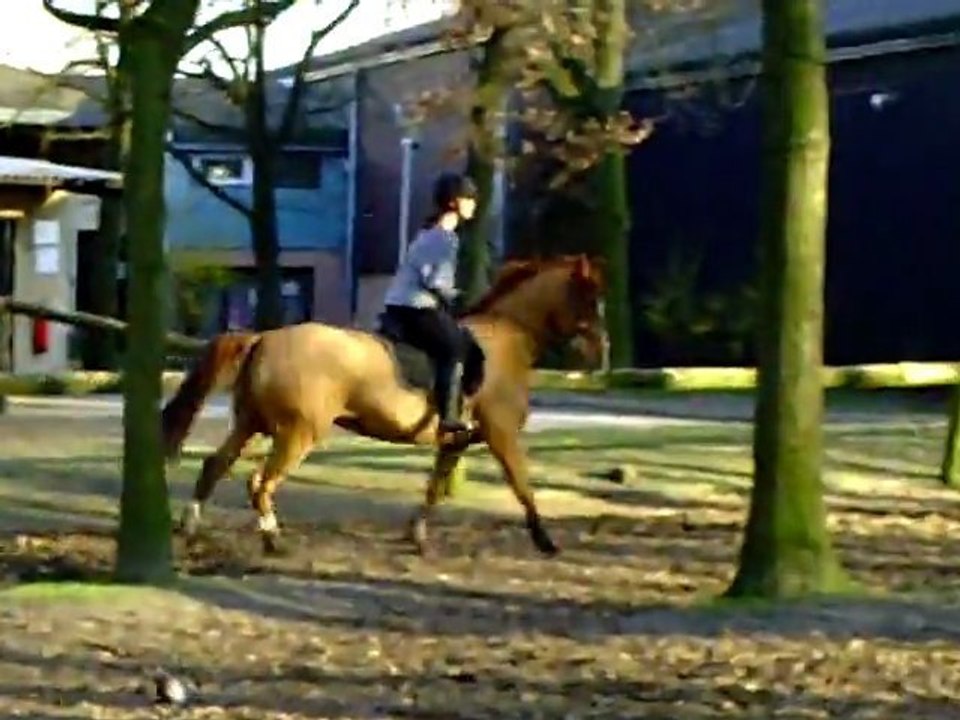 CLIP0025