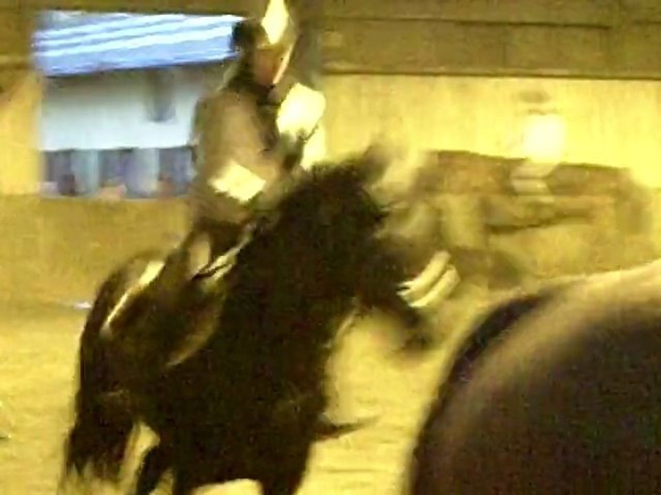 CLIP0020
