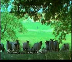 Kuran Meali Bakara Suresi 163-173