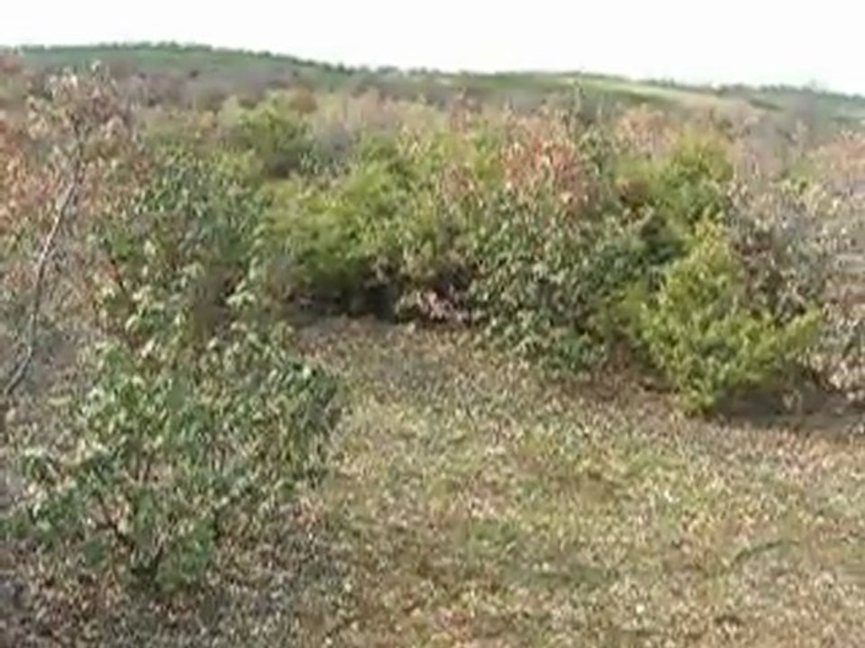 DSCN4230