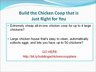 Building a Chicken Coop- Plans