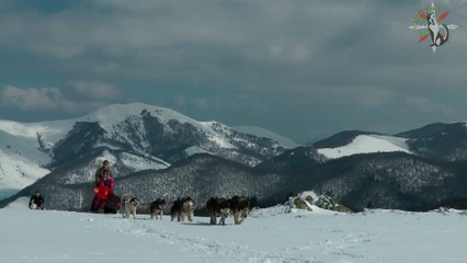 Raid chiens de traîneau avec Caroline et Anais