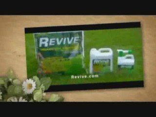 Download Video: www.Lawn-Water-Conservation.info | watering your lawn | measuring lawn watering