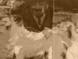 Gabriele D'Annunzio - Qui giacciono i miei cani