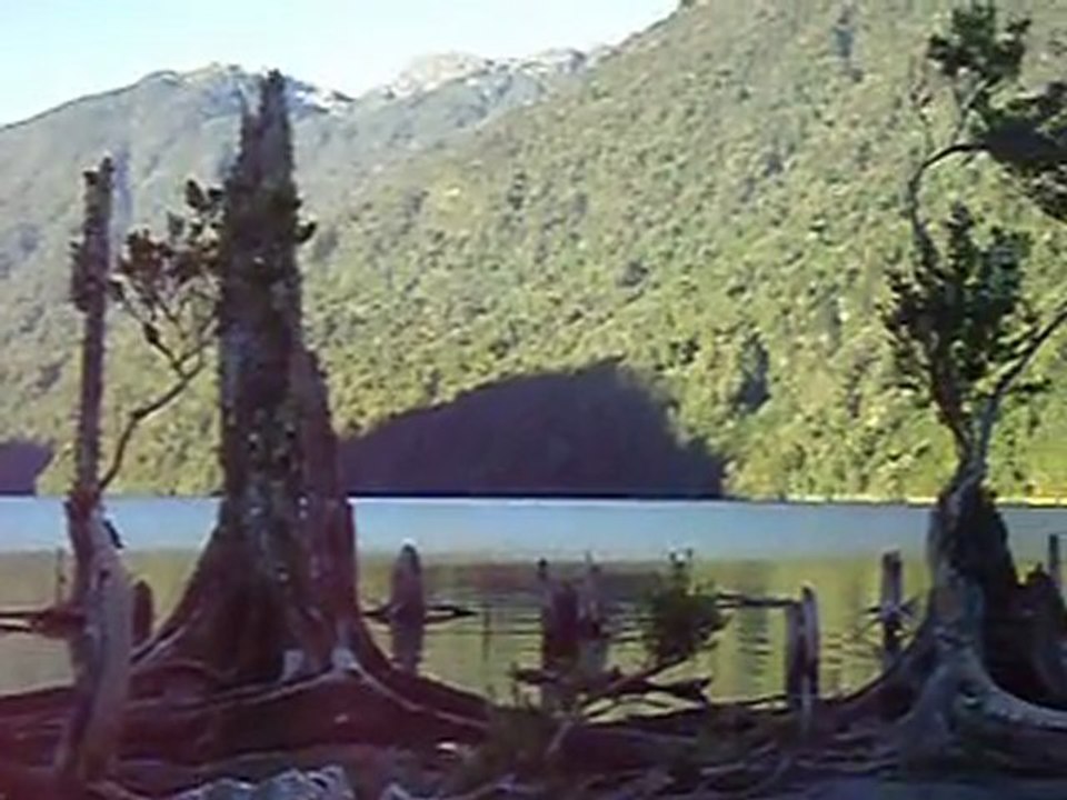 LOS ENCANTOS DEL LAGO RISOPATRON