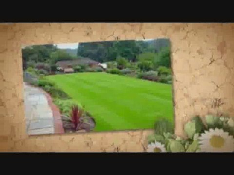 Spots-In-The-Lawn.info | Soil compaction | lawn irrigation | aerating lawn | dark green turf