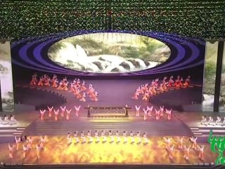 ✿ Shanghai  World Expo Closing Ceremony Concert ✿