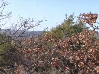 serre aux aigles 08.03.2011