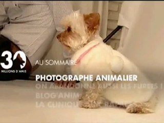 Sommaire émission 30 millions d'amis 13 03 2011