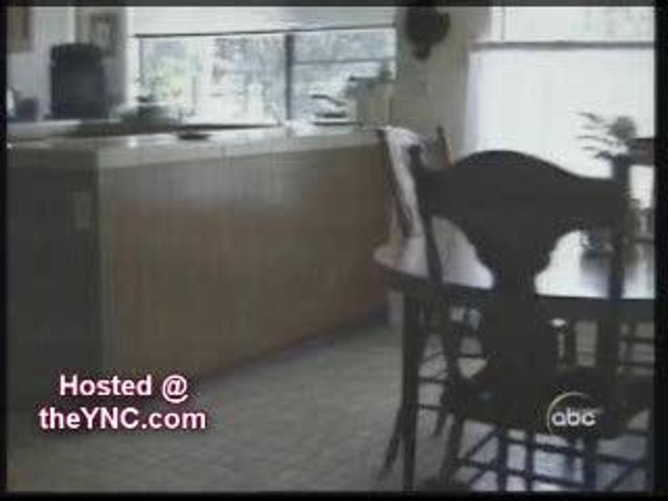 ANIMAUX PAS MALINS ? A VOIR !