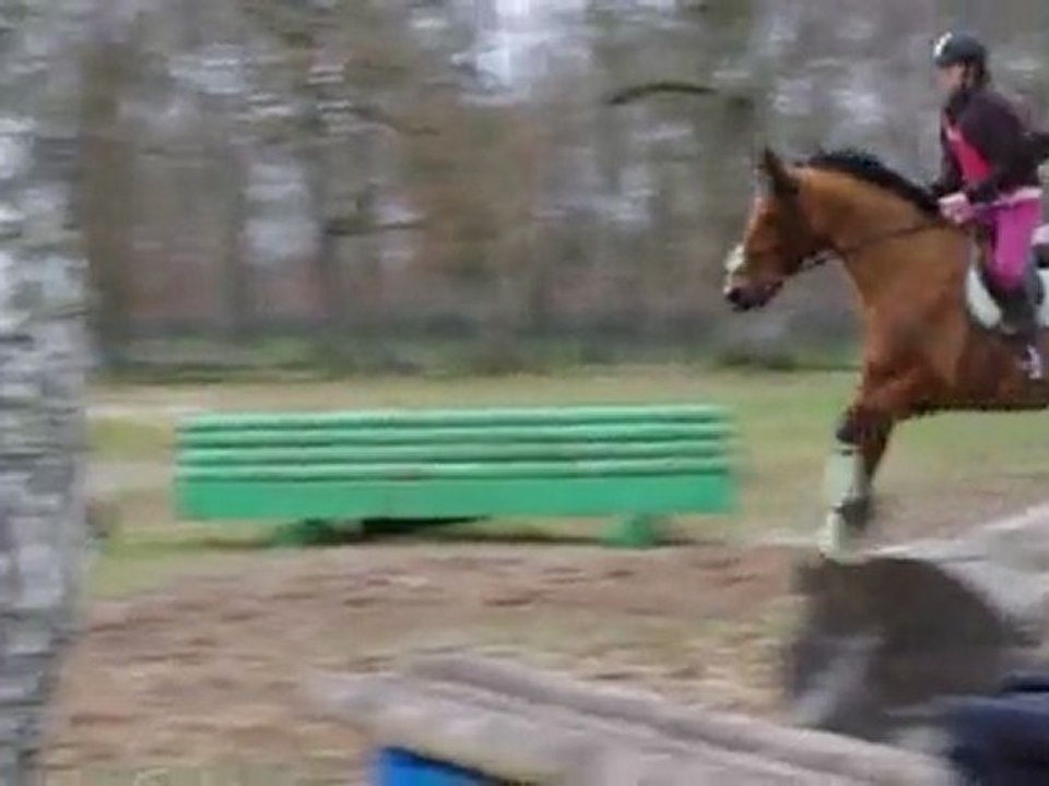 chloé et mikado cross lamotte beuvron