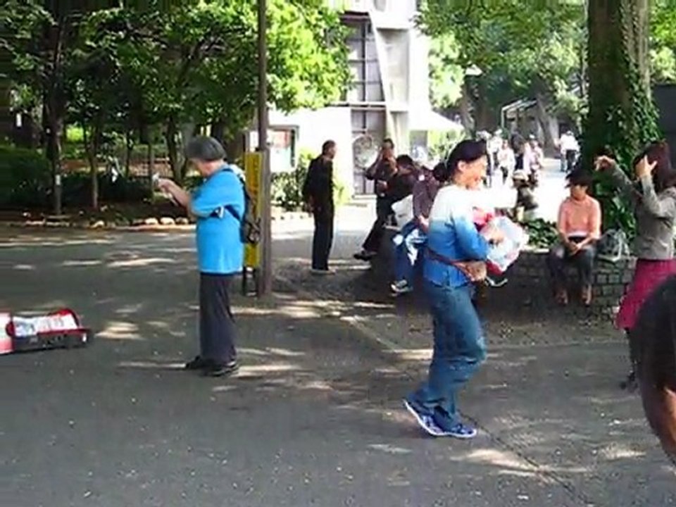 Danse Japonai... ZZE ?