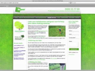 Grass seeding Auckland