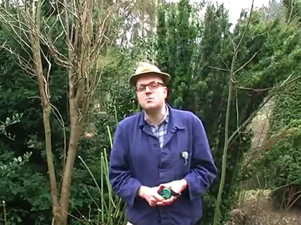 Guttenberg - der Rücktritt! Comedy und Satire von Heini