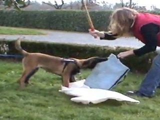 Fripouille 3 mois 1.5 jambière