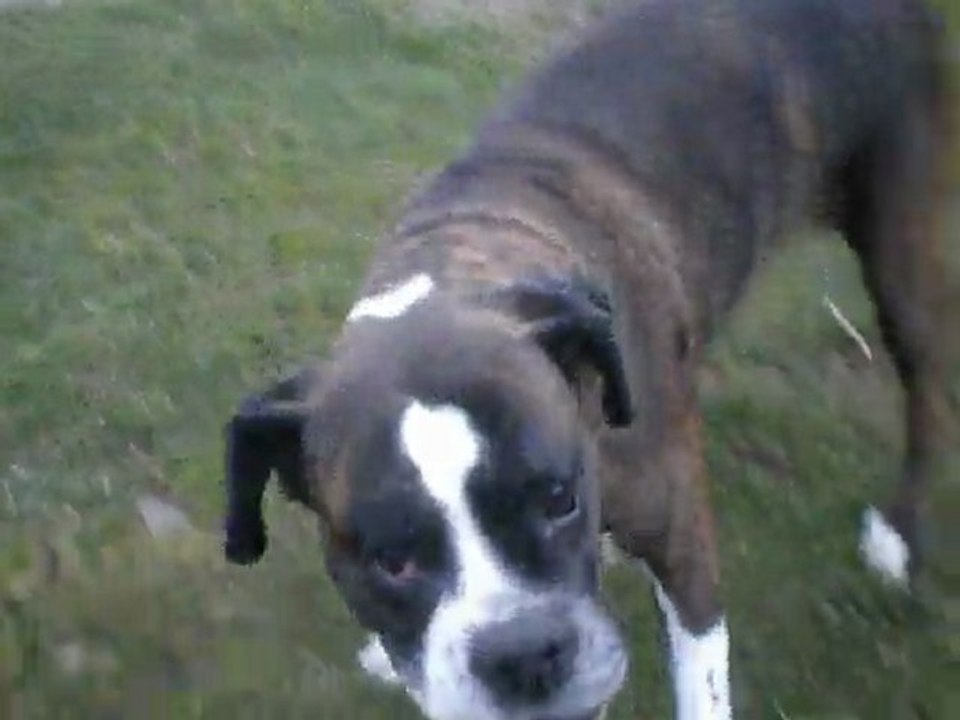 mars2011 011
