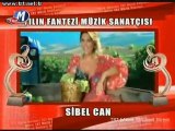 10 Fantezi müzik yılın sanatçıları 2011 TRT müzik ödülleri