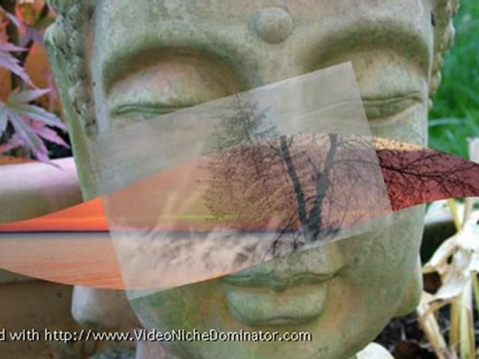 Brain Entrainment CDs