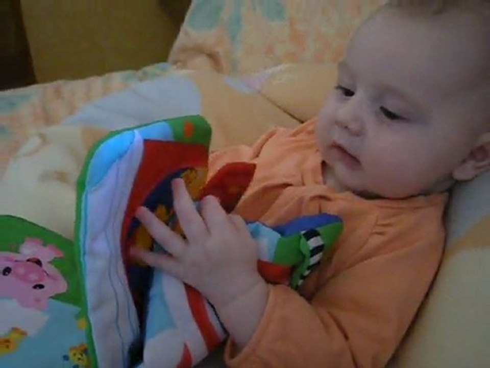 Alice et son livre