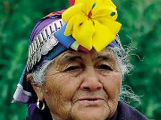 Volunteer Abroad Chile