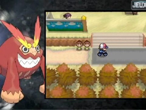 Pokémon Version Noire & Blanche (Test - Note 15/20)