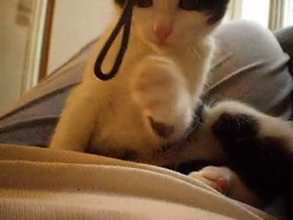 video hinata 1