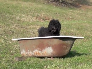 Le Jour Se Lève: Aragon im März 2011 ☀️