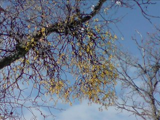 Isparta Aksu Sofular Köyü