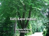 KARLI KAYIN ORMANI...BAĞLAMA & YORUM: ALİ ELİBÜYÜK