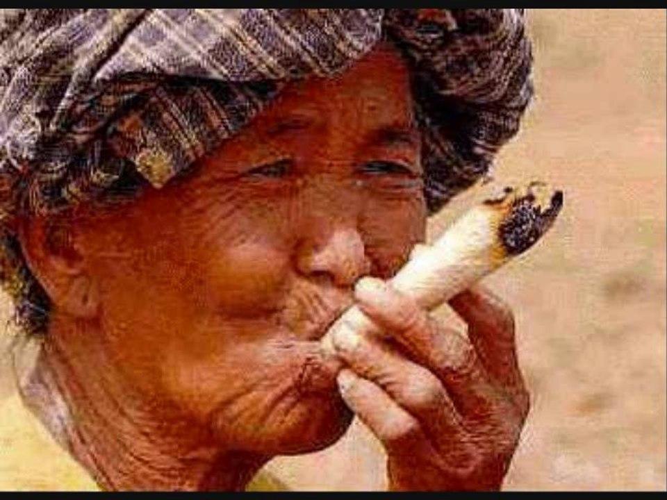 Official Charlie sheen song