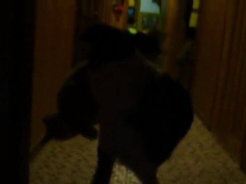 CALINE ET SON CHAT