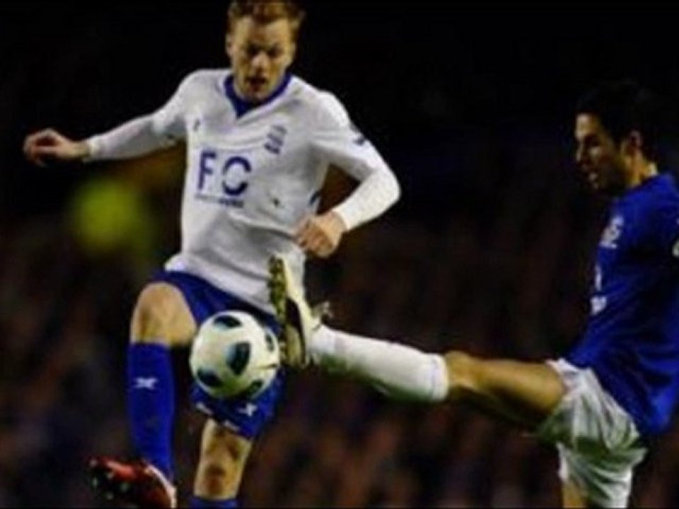 Everton 1-1 Birmingham Beausejour , Heitinga superb-strike