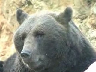 pour  tous ce qui sont loin de chez eux