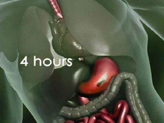 Isotonix Isochrome, Blood Sugar Maintenance Supplement