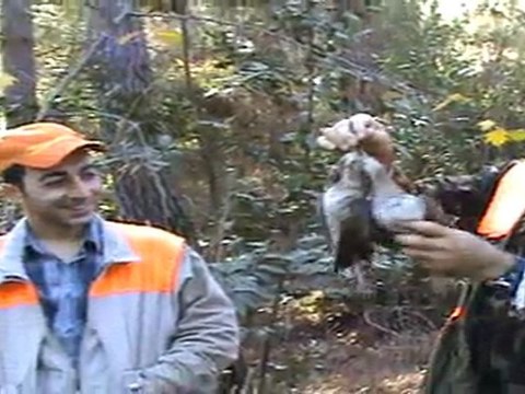 MEMİŞ Di KOS By Kadri MEMİŞ