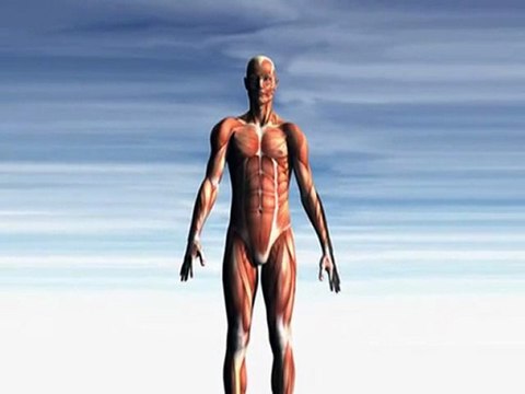 Chiropractor Charlottesville| 3 categories of lower back pain