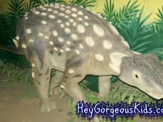 Dinosaur Museum,Canberra - Kids Parks, Playgrounds & Venues