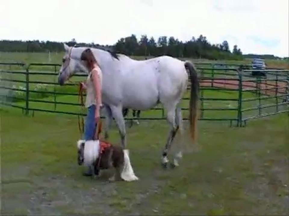 Au Domaine des Rêves