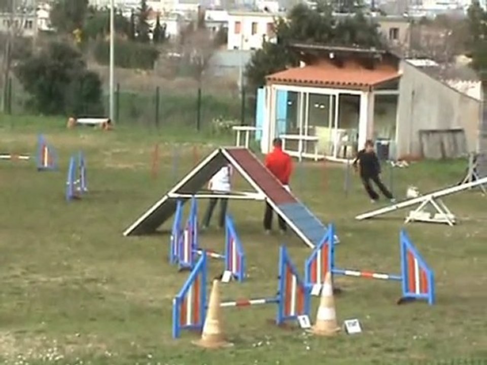 Glossy Pré séléction EDF 2011