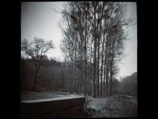 Paul Armfield - Why Should It Be That A Man Gets Bored