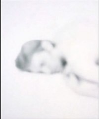 King Creosote & Jon Hopkins - Bubble (Diamond Mine Teaser)