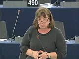 Norica Nicolai on UN Human Rights Council